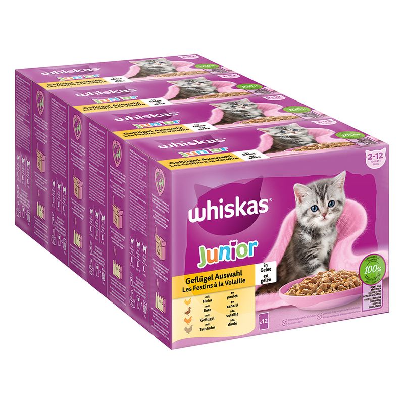 Whiskas Junior Pouches 48 x 85g Meat Selection in Gravy