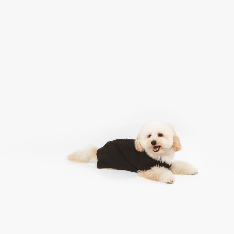 Nomad Tales Blush Dog Jumper - Ebony approx. 35cm Back Length