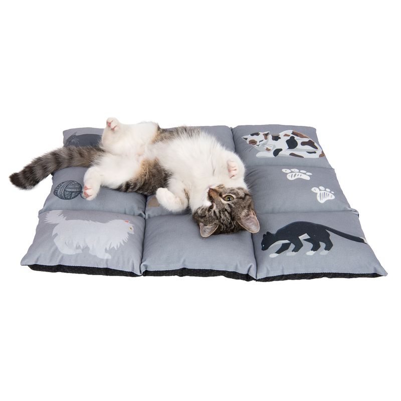 Cat Cushion Medley L 55 x W 45 x H 6 cm
