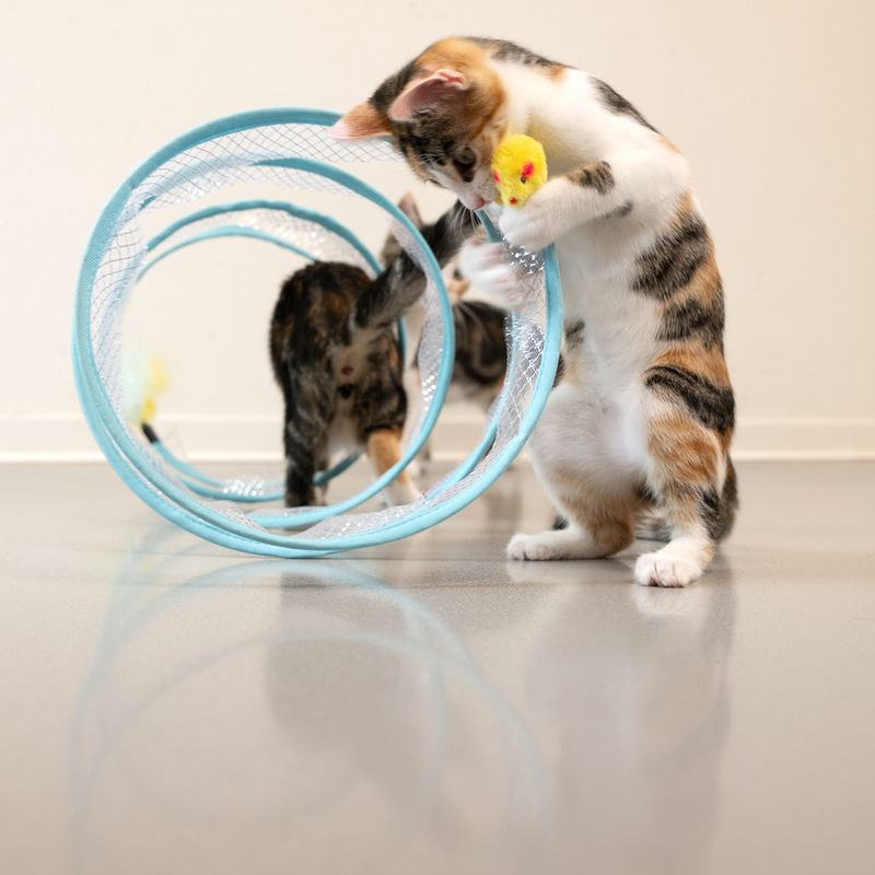 TIAKI Spiral Tunnel for Cats approx. diameter 25 x (L) 50 cm