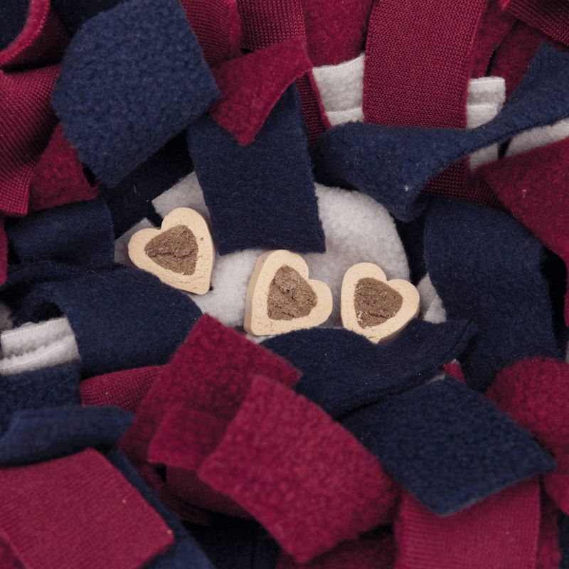 Trixie Activity Sniffer Carpet 50 x 34 cm (L x W)