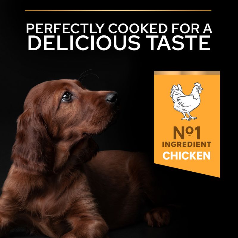 PURINA PRO PLAN Large Athletic Puppy Healthy Start 3kg