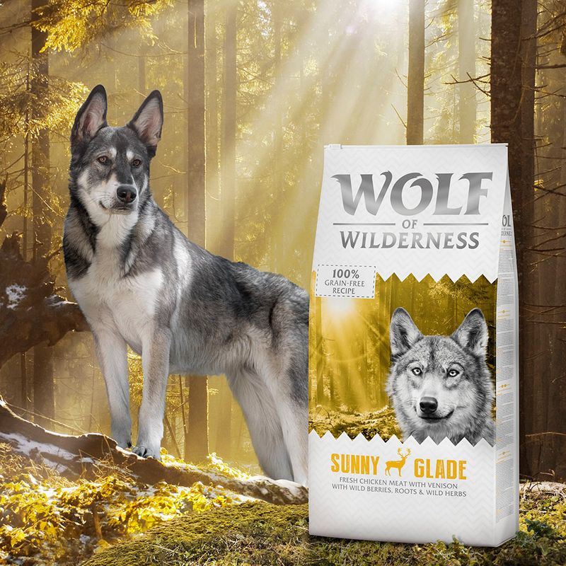 Wolf of Wilderness Economy Pack 2 x 12kg Adult \