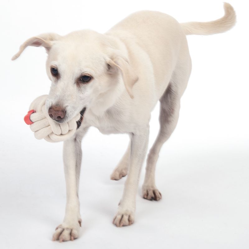 TIAKI Dog Toy Rope Ball Ø 9,1 cm