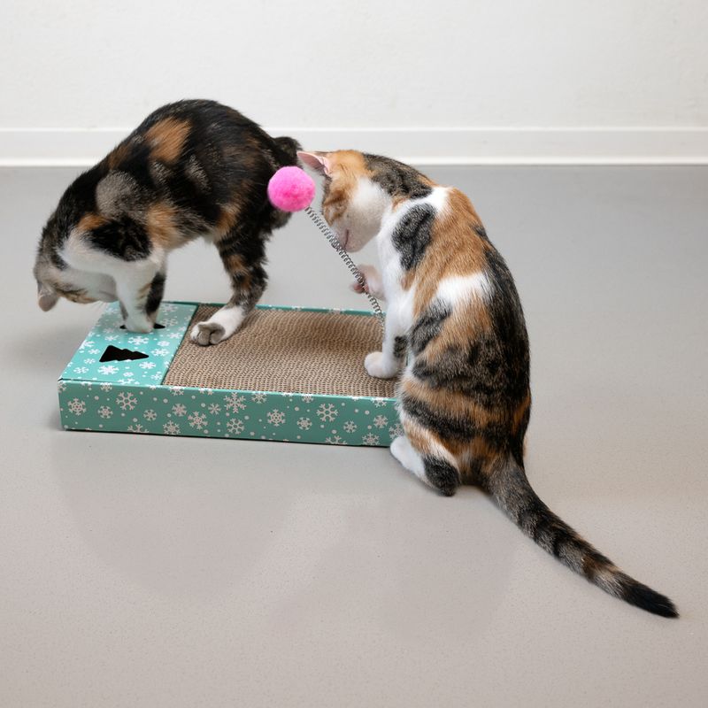 TIAKI Xmas Scratching Board 1 Scratching Board