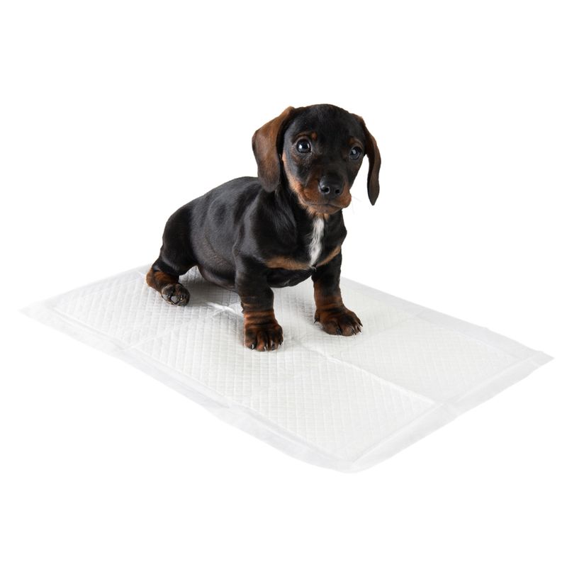 zooplus Puppy Trainer Pads 30 x Medium Pads: 45 x 30 cm (L x W)
