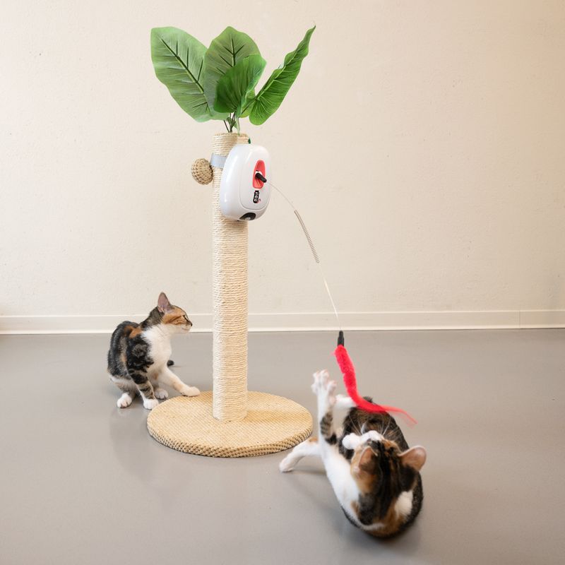 TIAKI Interactive Jumping Cat Toy 1 Toy