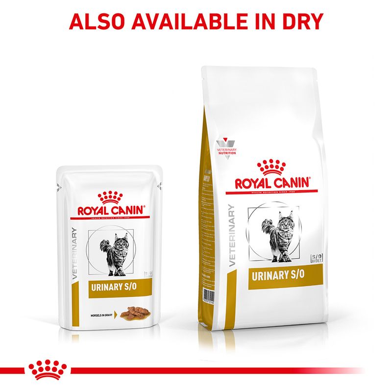Royal Canin Veterinary Feline Urinary S/O in Gravy 12 x 85g