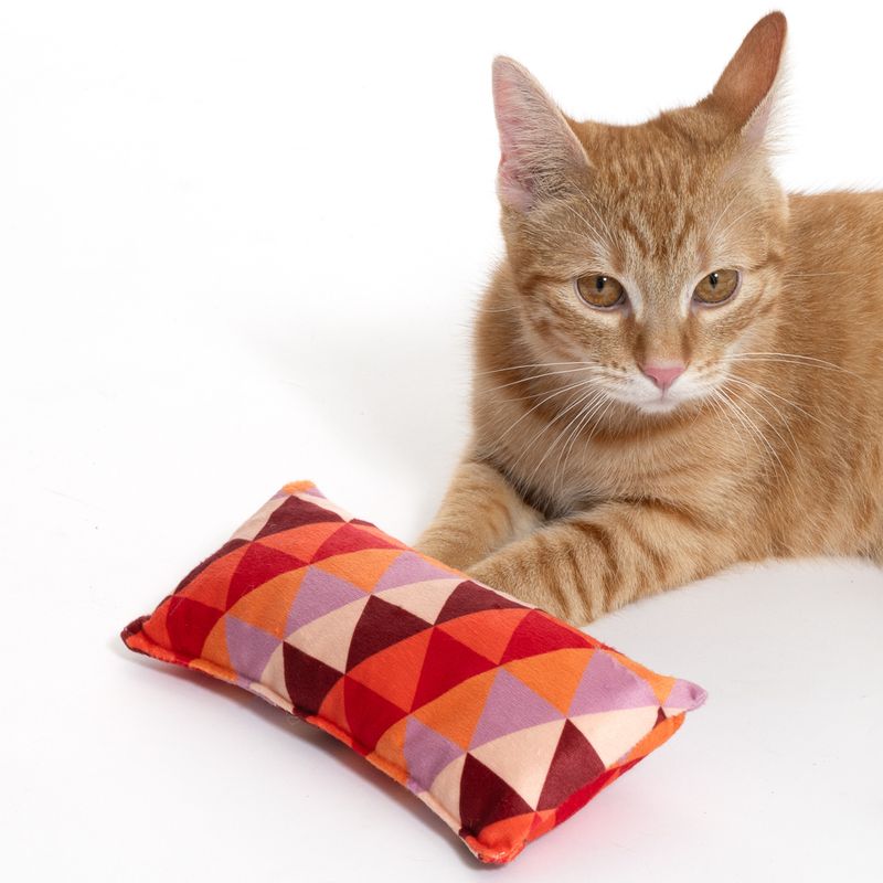 TIAKI Kicker Cushion with Catnip 1 Toy