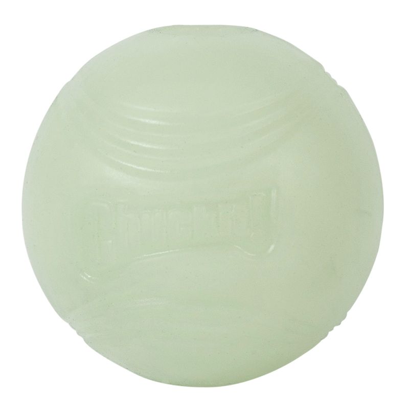 Chuckit! Max Glow Ball Size M: diameter 6.5cm