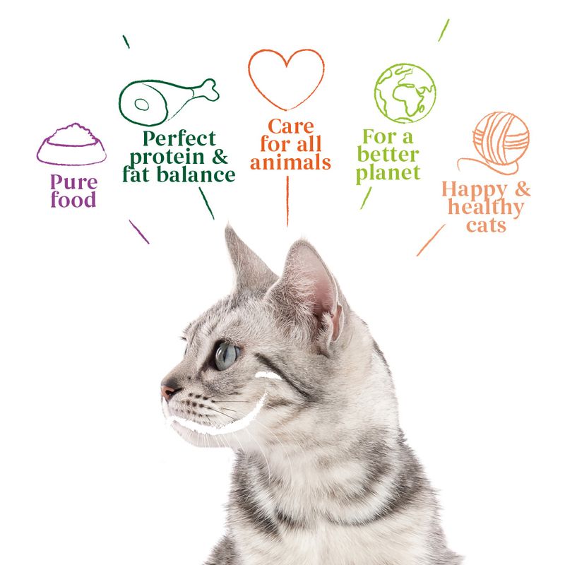 Yarrah Organic Fillets in Sauce 14 x 85g Organic Beef