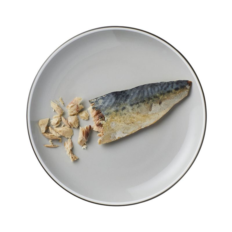 Encore Cat Mackerel Loin 30g