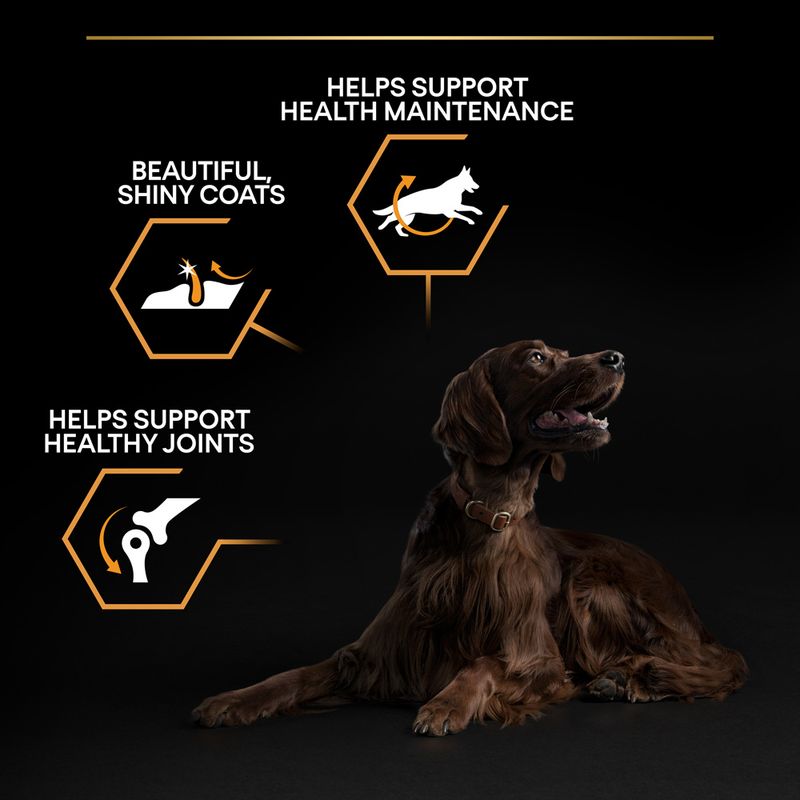 PURINA PRO PLAN Large Athletic Adult Everyday Nutrition 14kg