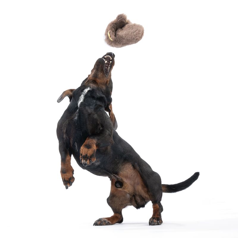 TIAKI Rabbit Slipper Dog Toy 1 Toy