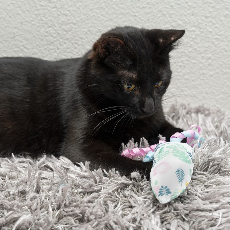 TIAKI Surfboard with Catnip 1 toy