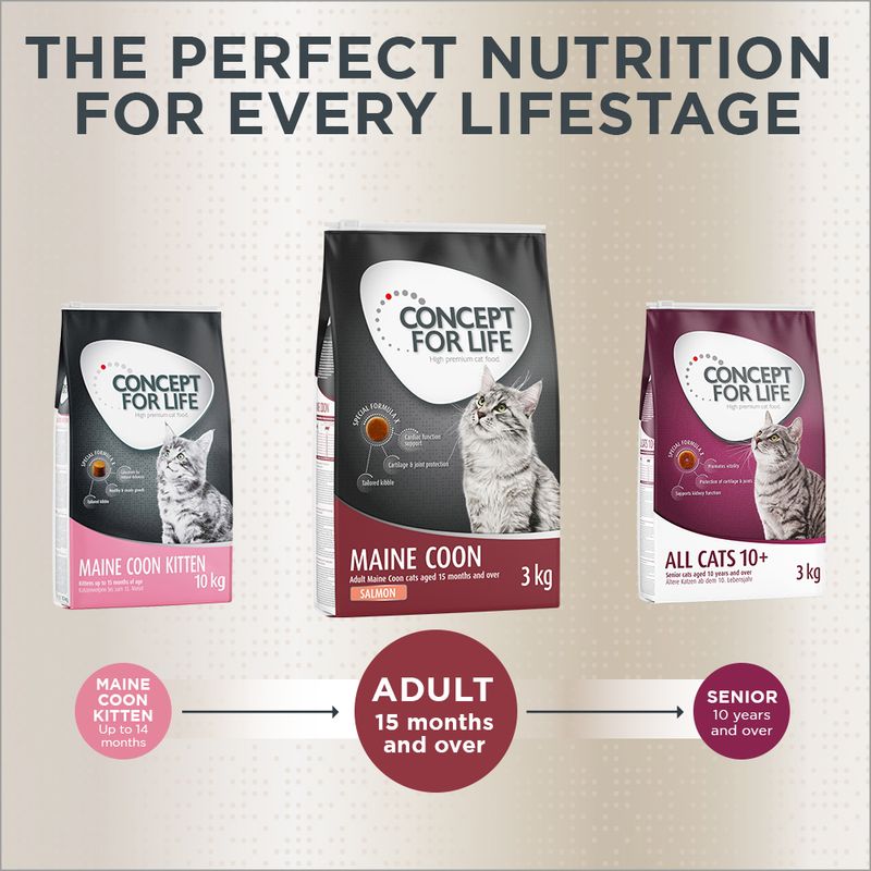 Concept for Life Maine Coon Adult Salmon - Grain-Free 400g