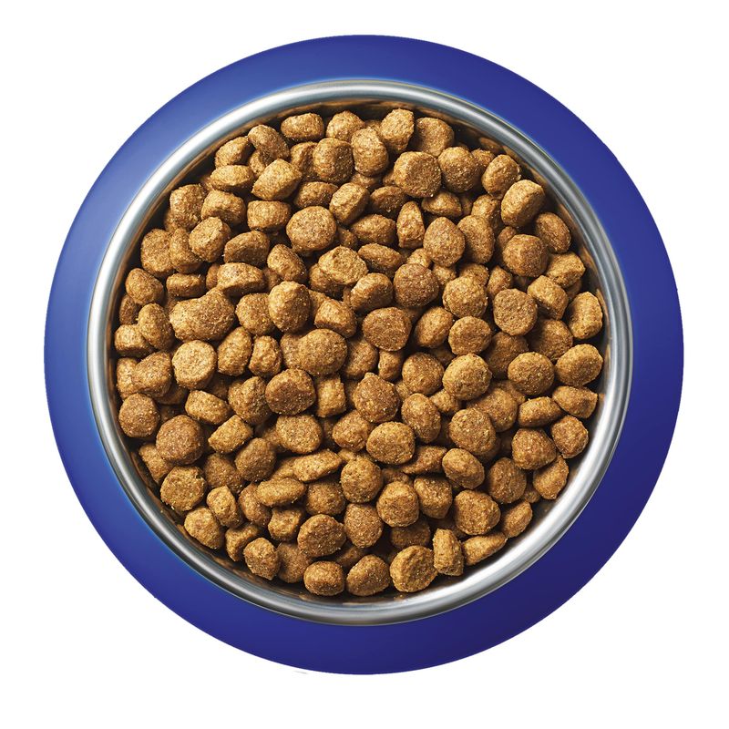 PURINA ONE Indoor Formula Turkey & Whole Grains Dry Cat Food 9.75kg