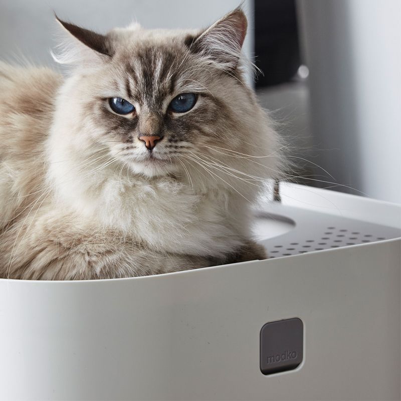 Modko ModKat Cat Litter Box Black