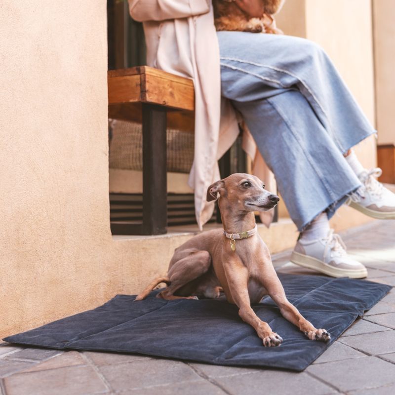 Nomad Tales Ebony Travel Dog Mat 80 x 60 cm (L x W)