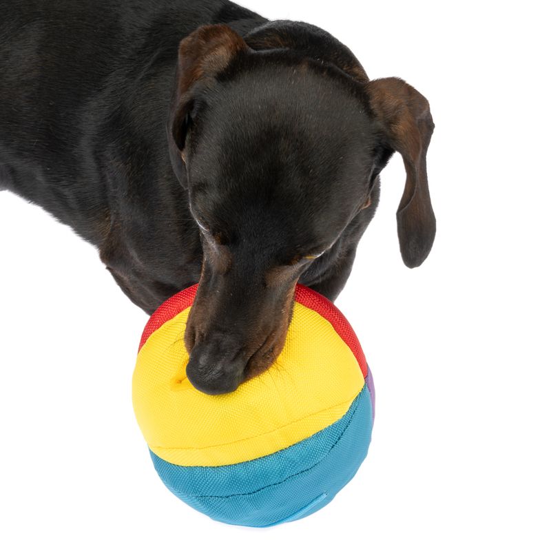 TIAKI Rainbow Snack Ball 13cm (Diameter)