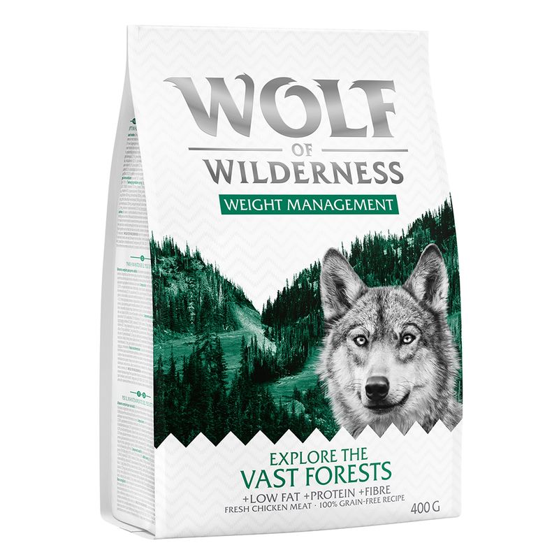 Wolf of Wilderness \