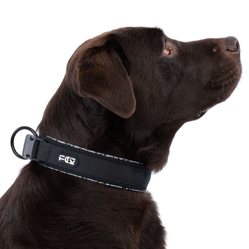 TIAKI Reflective Collar Size S: 25 - 35 cm Neck Circumference, 20mm Width