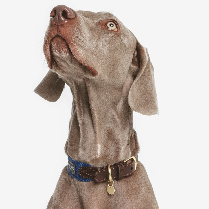 Nomad Tales Bloom Necklace, sapphire Size XL: approx. 52 - 58 cm neck circumference, W 38 mm