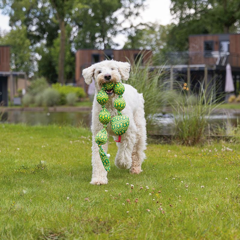 Beeztees Ballo Snake Dog Toy 80 x 10 x 6.5cm (L x W x H)