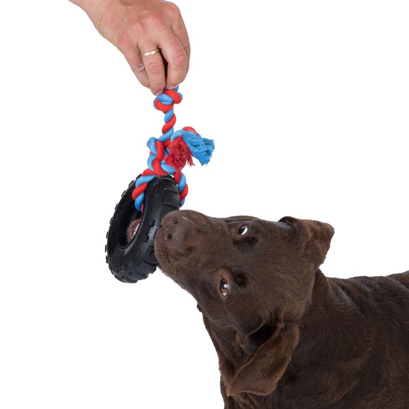 TIAKI Rubber Tyre with Rope 1 Toy