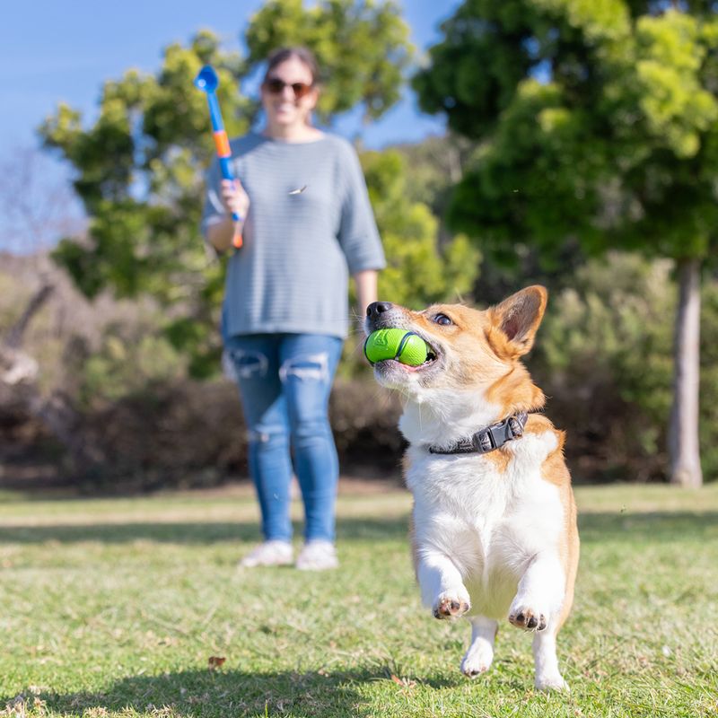 Chuckit! Sniff Fetch Balls Canister 4 balls, 6.5cm (W)