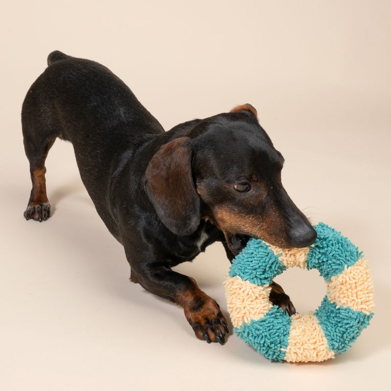 TIAKI Dog toy ring Size M: diameter 7.5 x (H) 15.5 cm