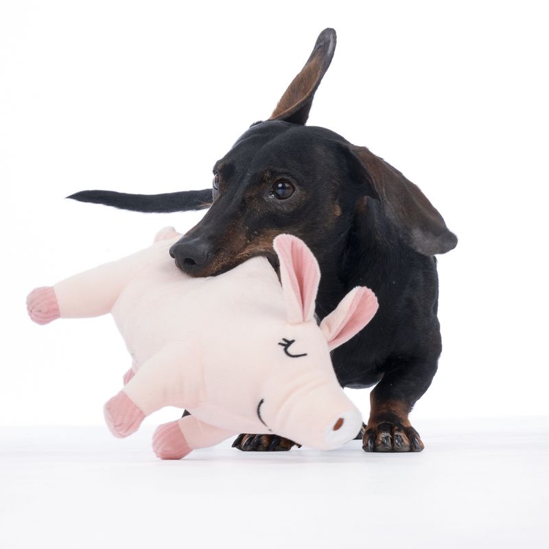 TIAKI Oink Pig Plush Squeaker Toy approx. 25.5 x 7 x 14 cm (L x W x H)