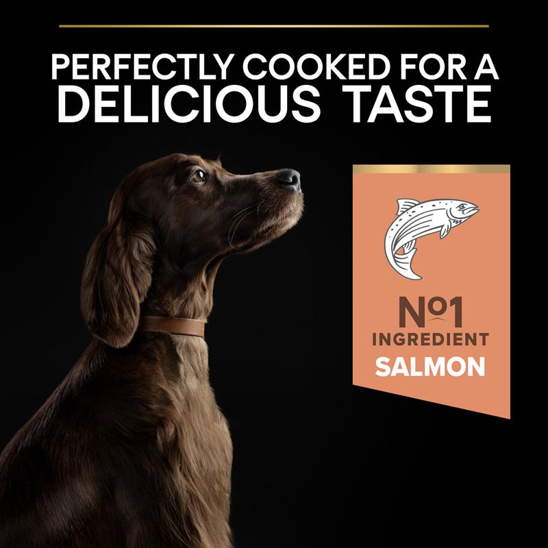 PURINA PRO PLAN Large Athletic Adult Sensitive Skin - Salmon 14kg