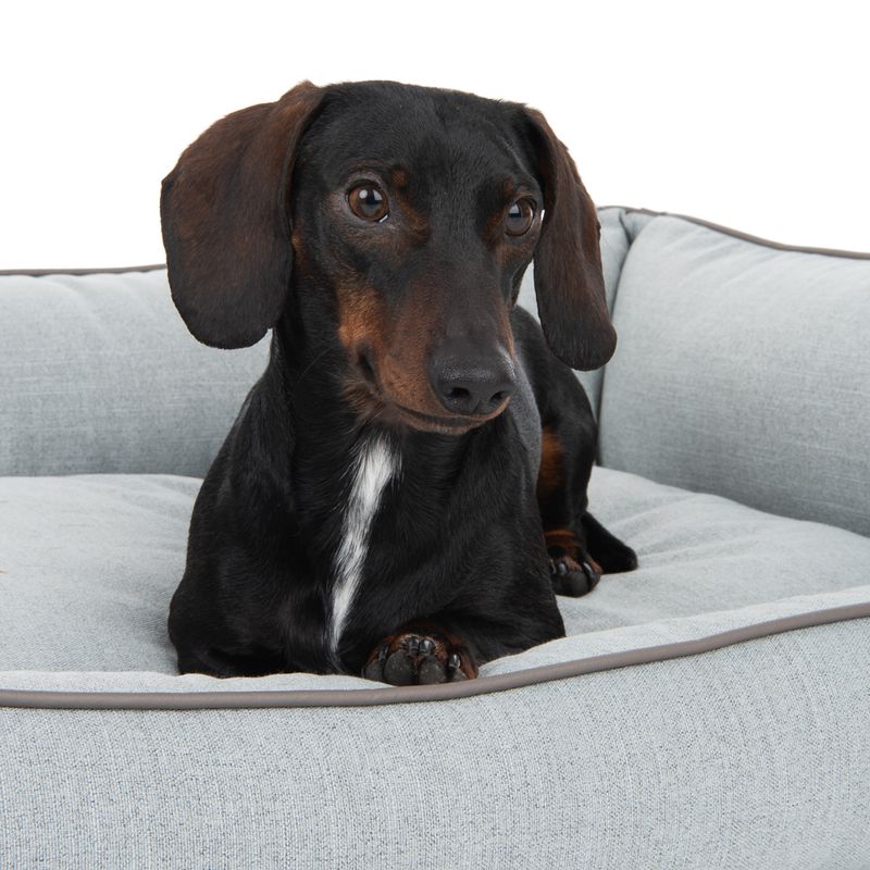 Modern Living Skara dog bed Size M: L 100 x W 70 x H 21 cm