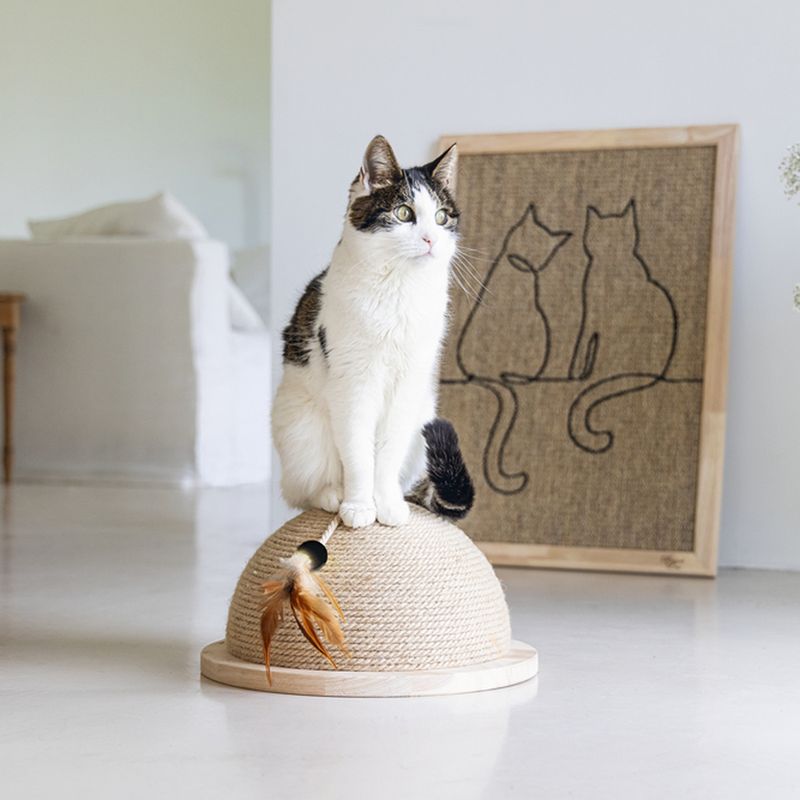 Designed by Lotte Vivi Half Wooden Scratching Ball 34.5 x 18.5cm (diameter x H)