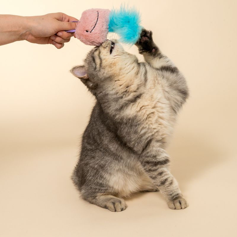 TIAKI Rabbit Monster Cat Toy 1 Toy