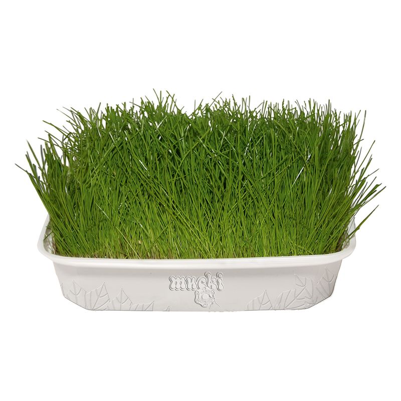Mucki Bird Grass 2 x Bird grass dishes with brackets
