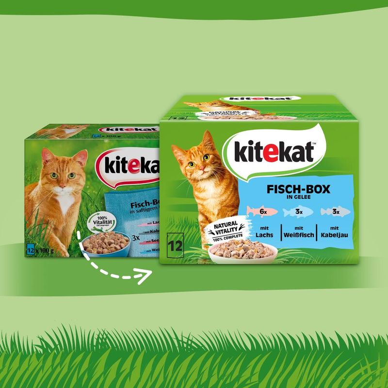 Kitekat Variety Pouches Saver Pack 48 x 85g Classic Selection in Gravy