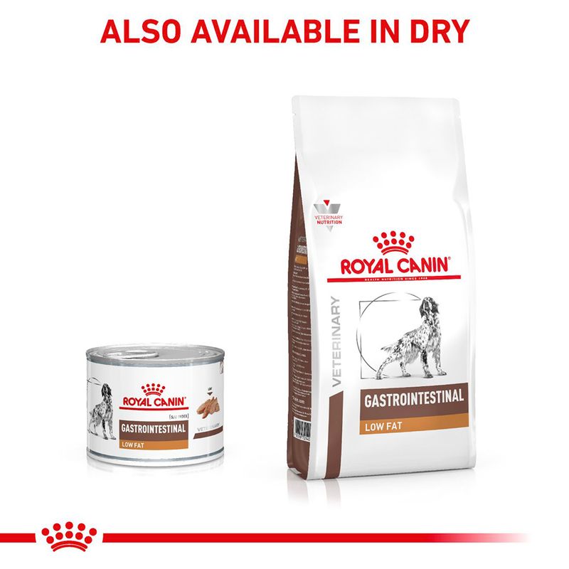 Royal Canin Veterinary Canine Gastrointestinal Low Fat Loaf 12 x 420g