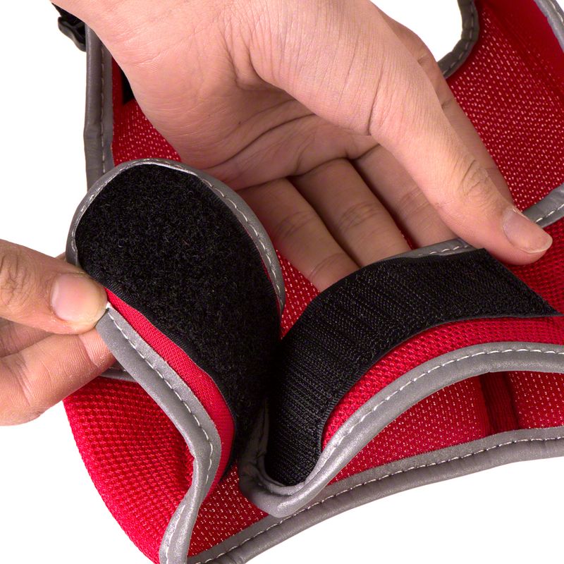 Trixie XCat Harness with Lead and Exclusive Stickers Black