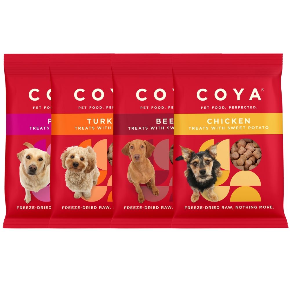 Coya Adult Snacks Beef (40g)