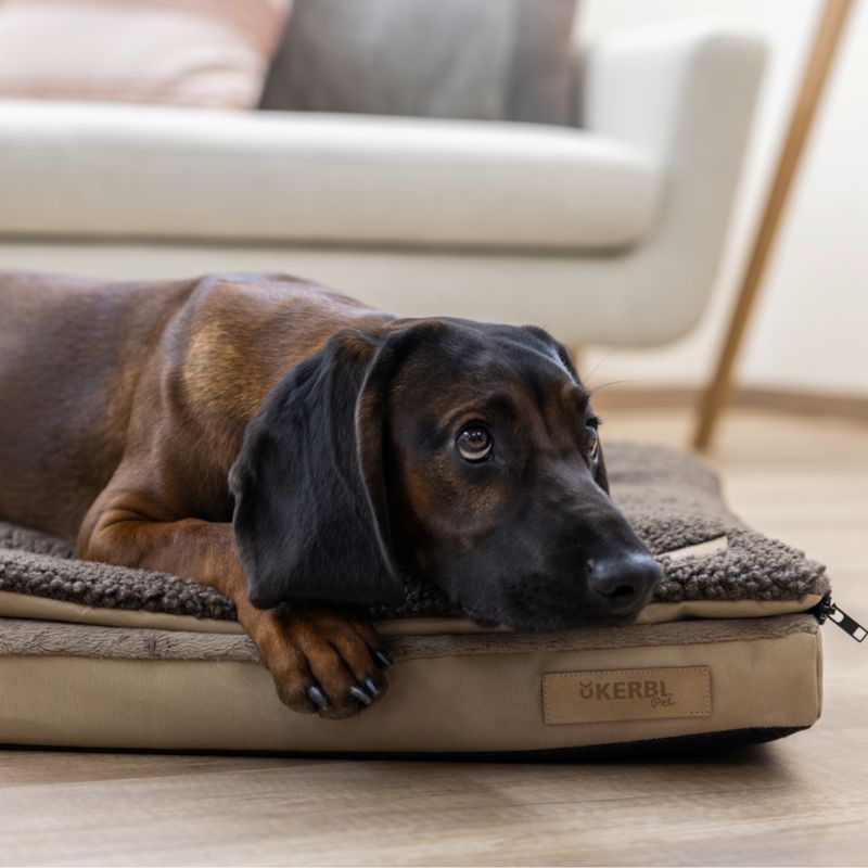Kerbl Pet Multifunctional Mattress Approx. 72 x 50 x 5cm (L x W x H)