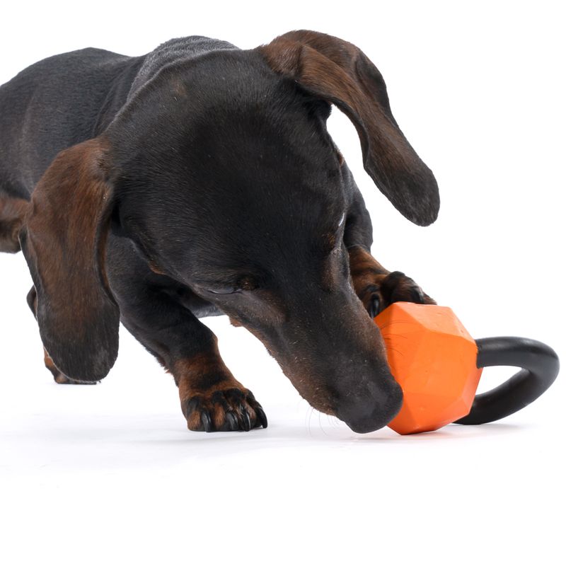 TIAKI Rubber Kettlebell Chew Toy 1 Toy