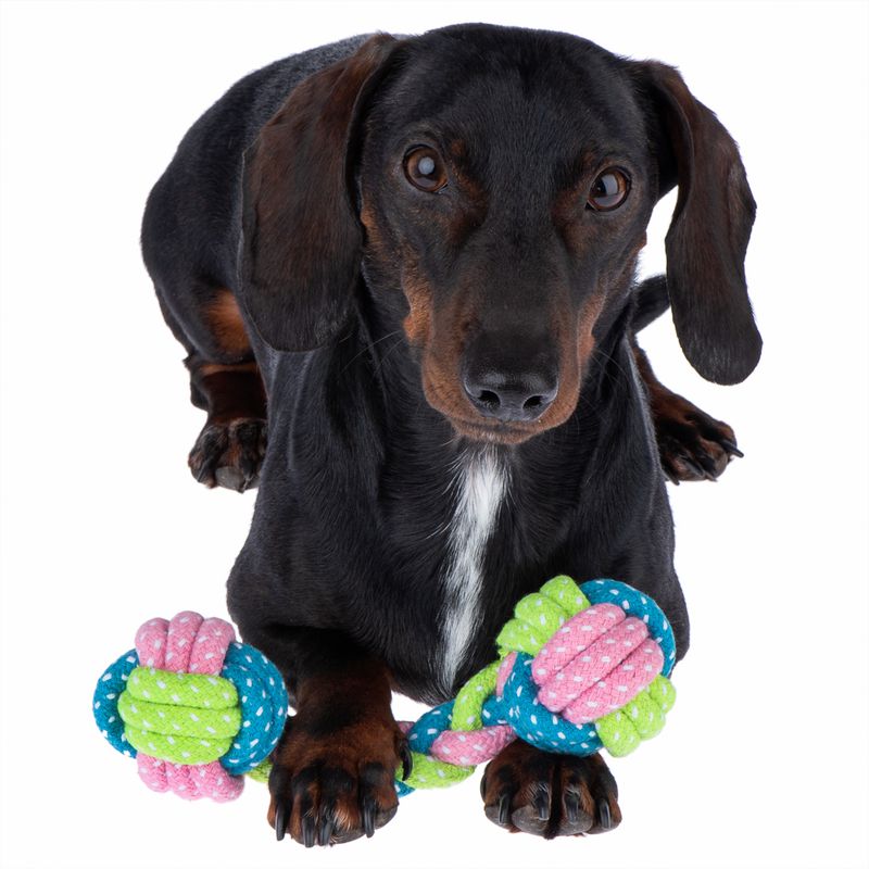 Dog toy Limo bones approx. diameter 6 x L 18 cm