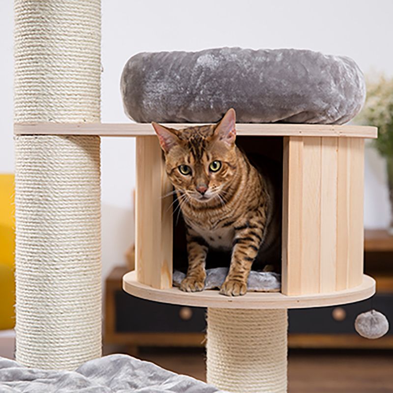 Natural Paradise Scratching Tree - Magnolia XL Plus Cream