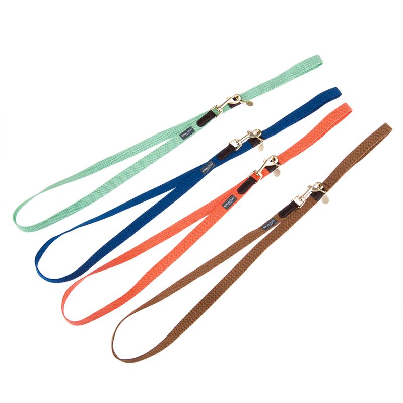 Nomad Tales Bloom Leash, mint 200 cm long, 20 mm wide