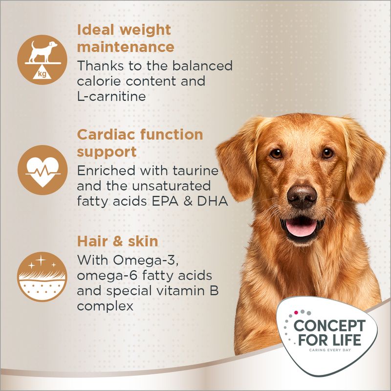 Concept for Life Golden Retriever Adult 1.5kg