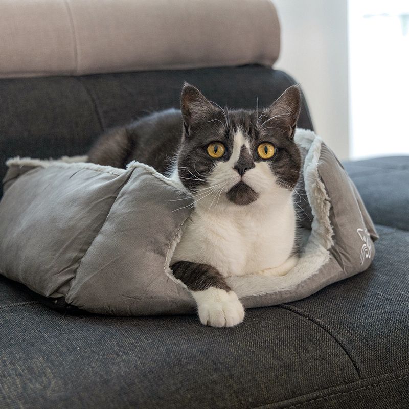 Beeztees Cat Bed Baboo 48 x 37 x 18cm (L x W x H)