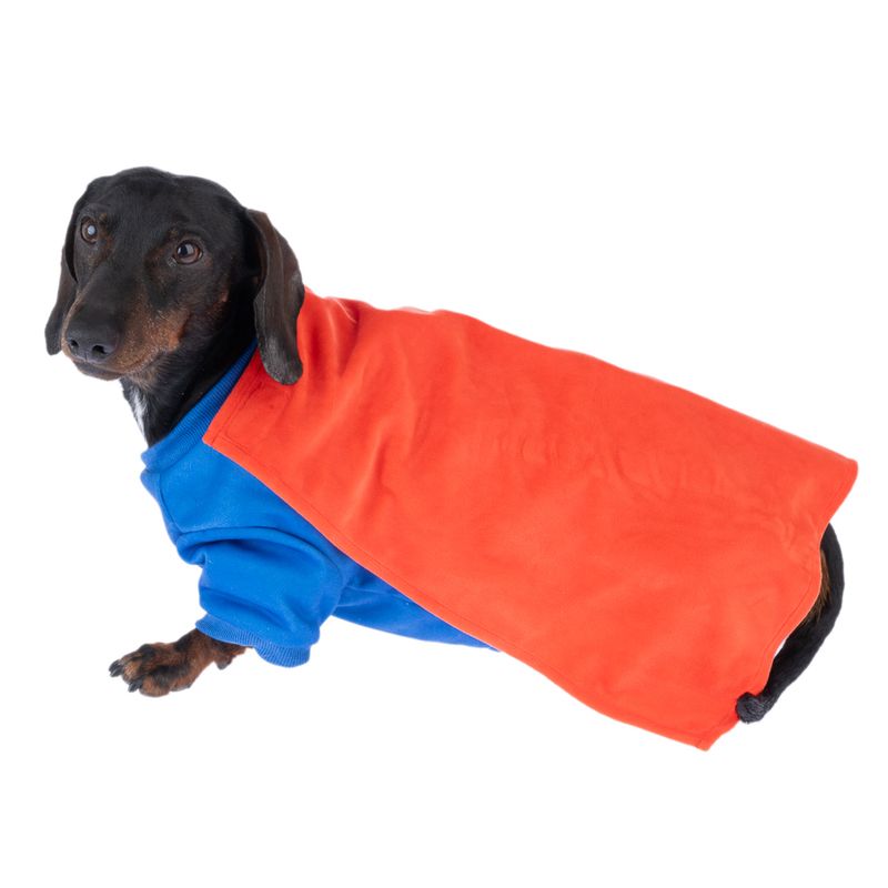 Warner Bros™ DC Superman Dog Costume Size S/M: 35cm Back Length