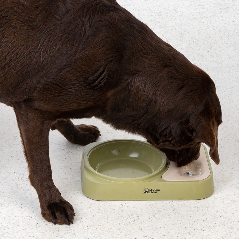 Modern Living SaPa Double Bowl 400ml